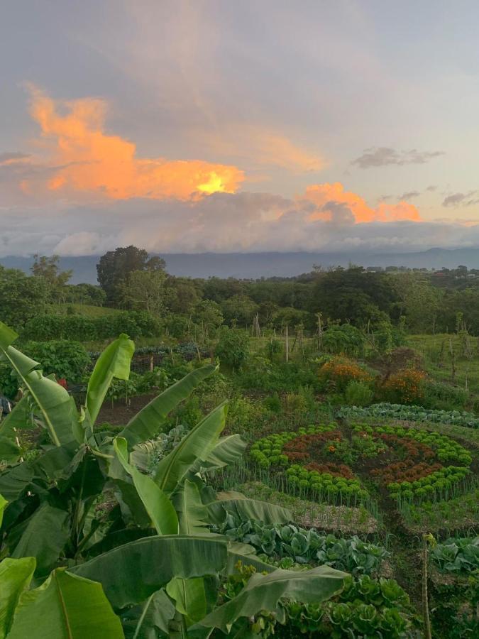 Glamping Campo Alegre Hotel Cartago Buitenkant foto
